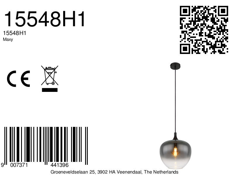 moderne-zwarte-rookglazen-metalen-hanglamp-globo-maxy-variant-image8a