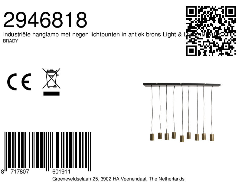 industriele-hanglamp-met-negen-lichtpunten-in-antiek-brons-light-living-brady-variant-image8a