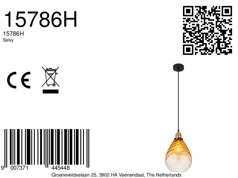 zwarte-klassieke-hanglamp-bol-globo-salvy-variant-image8a
