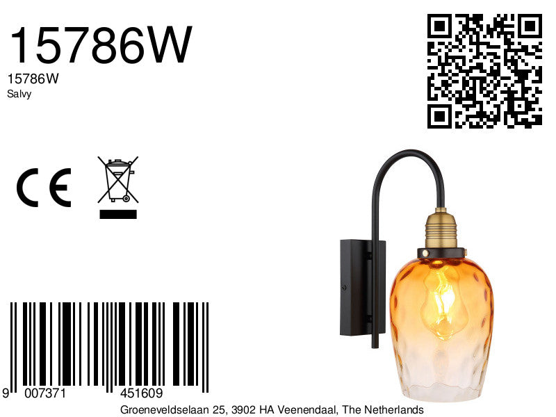 wandlamp-zwart-metaal-klassiek-globo-salvy-variant-image8a