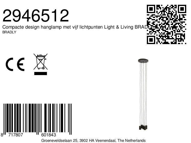 compacte-design-hanglamp-met-vijf-lichtpunten-light-living-bradly-variant-image8a