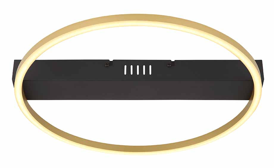 moderne-zwarte-plafondlamp-cirkel-globo-gunther-variant-image1