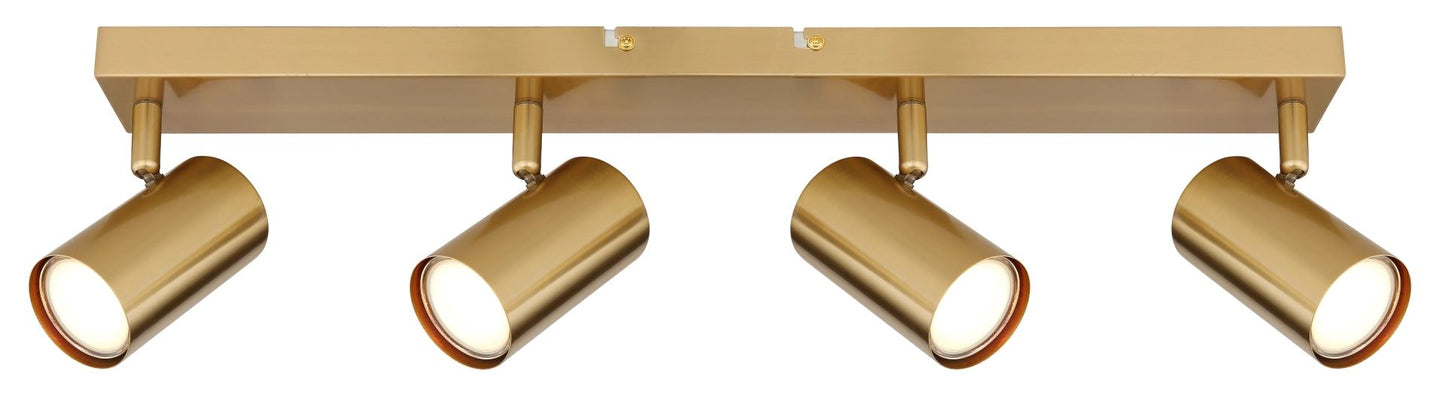 goudkleurige-geborstelde-metalen-spots-elegant-robby-variant-image2