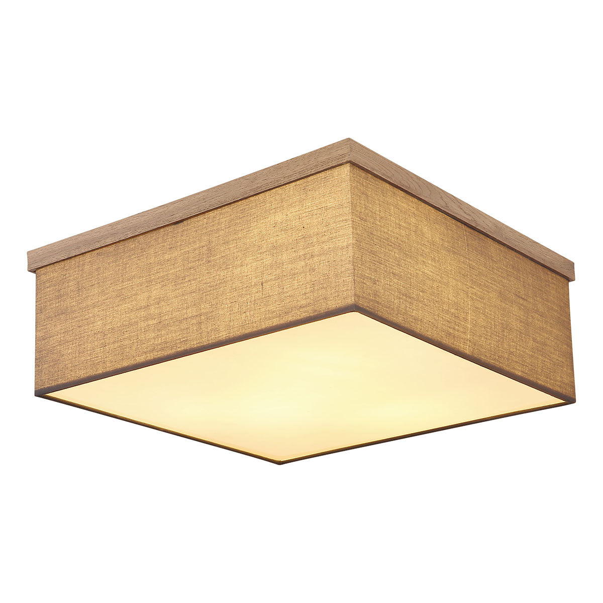 vierkante-zwarte-plafondlamp-landelijk-globo-ossi-main-image