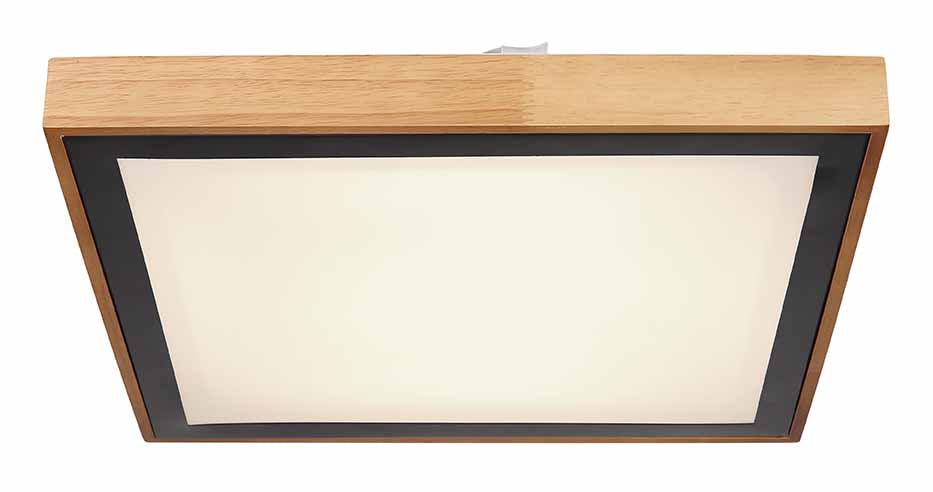 zwarte-vierkante-landelijke-plafondlamp-globo-bruno-variant-image1