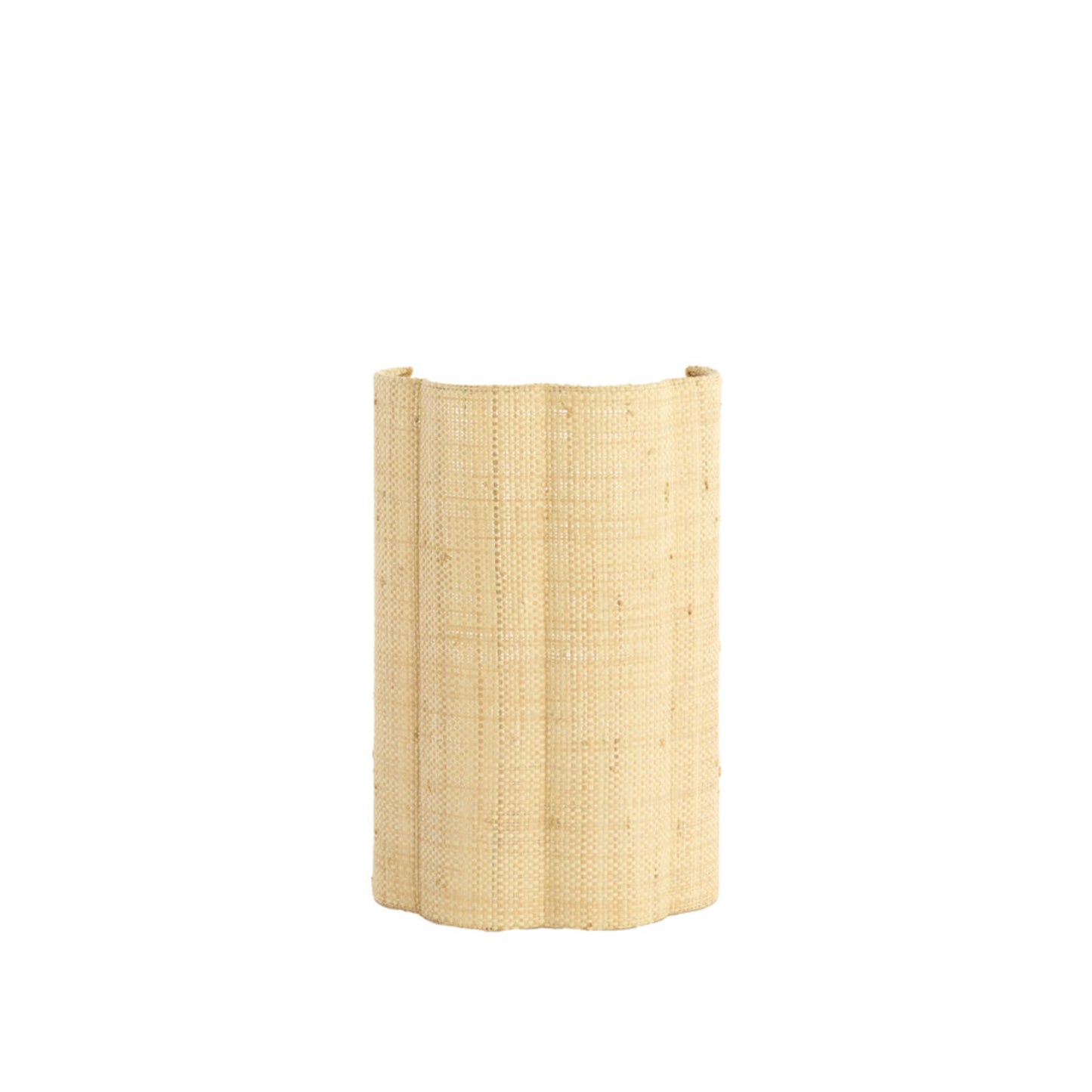 wandlamp-met-natuurlijke-raffia-kap-light-living-verdantia-main-image