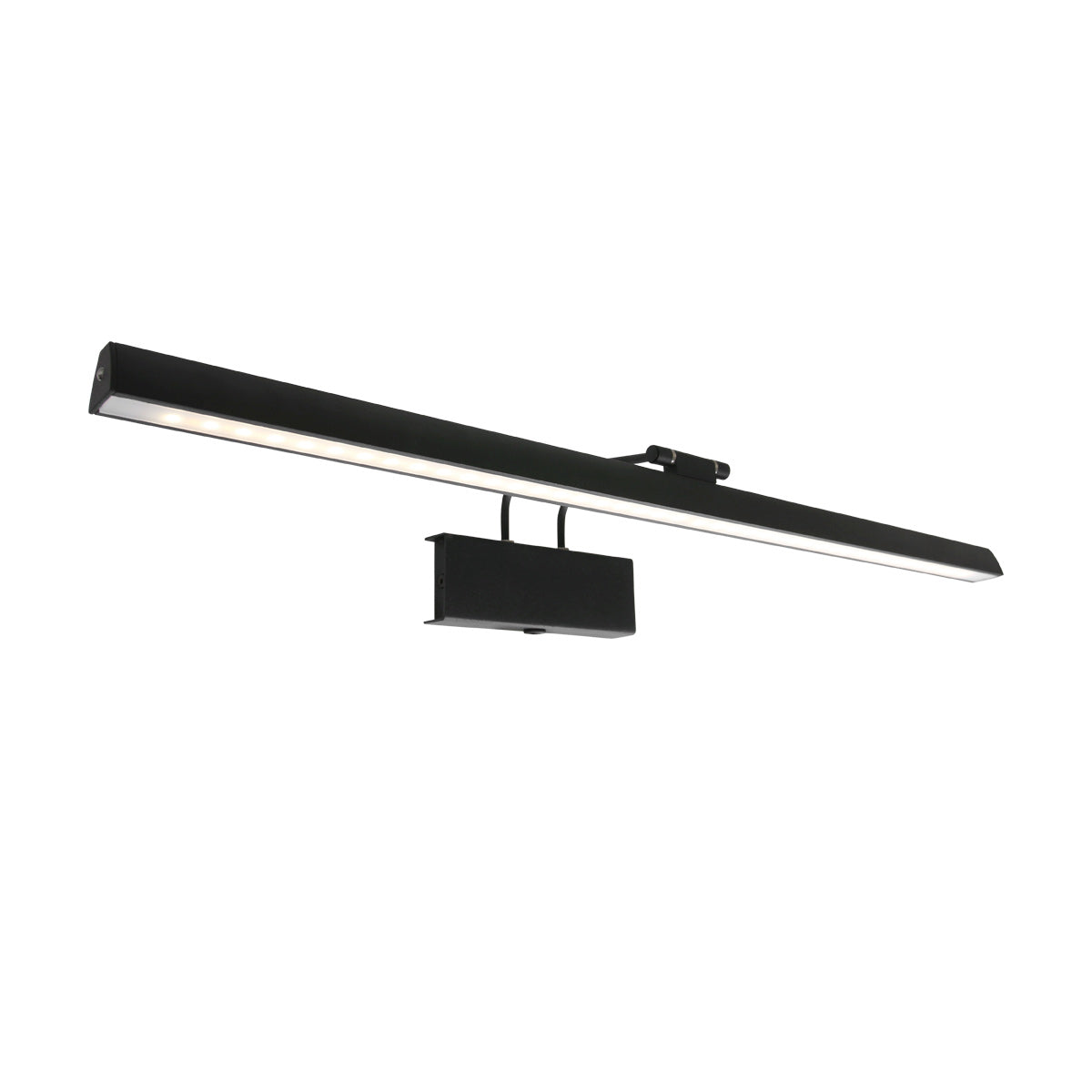 Steinhauer Litho LED schilderijlamp zwart