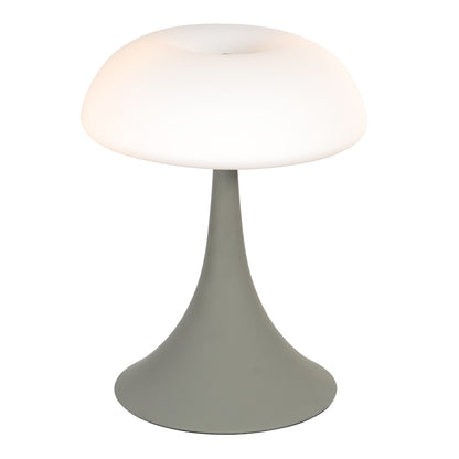 Sivá stolná lampa s matným sklom a dvoma svetelnými bodmi Steinhauer Ancilla – obrázok 10