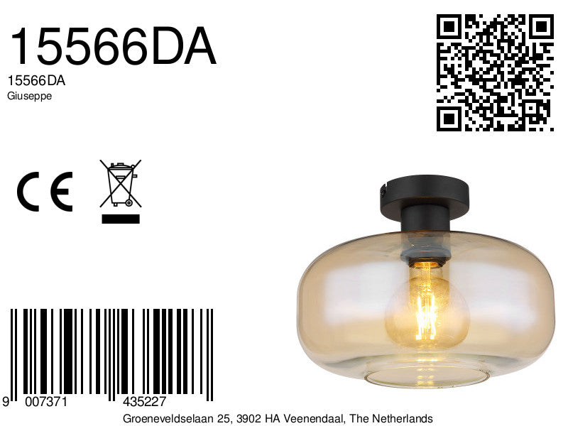 klassieke-zwart-metalen-glazen-plafondlamp-globo-giuseppe-variant-image8a