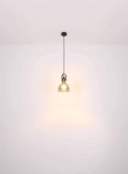 hanglamp-metaal-industrieel-zwart-globo-dorothea-variant-image3