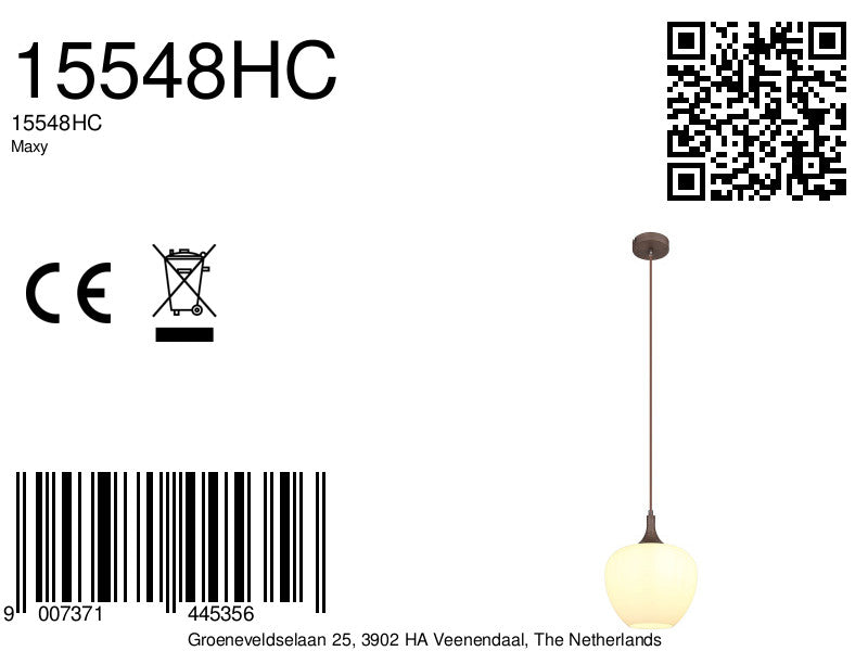 bruine-klassieke-metalen-hanglamp-globo-maxy-variant-image8a
