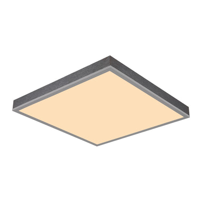 Lille sølvfarvet aluminiums LED loftlampe