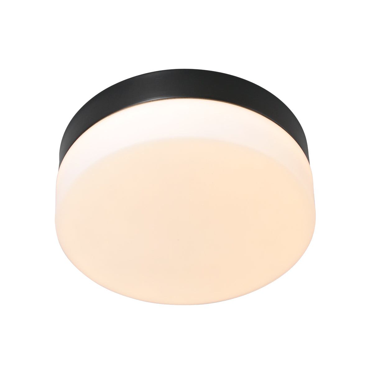 moderne-glazen-zwarte-metalen-plafonniere-steinhauer-ikaro-variant-image4