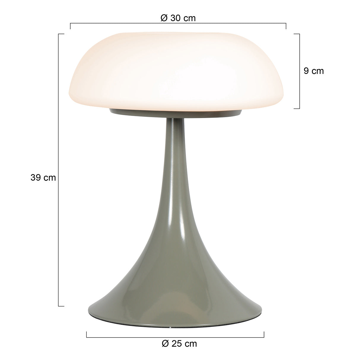 Zelena stolna lampa s mat staklom i dva izvora svjetlosti Steinhauer Ancilla – skica s dimenzijama