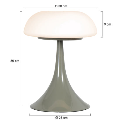 Zelena stolna lampa s mat staklom i dva izvora svjetlosti Steinhauer Ancilla – skica s dimenzijama