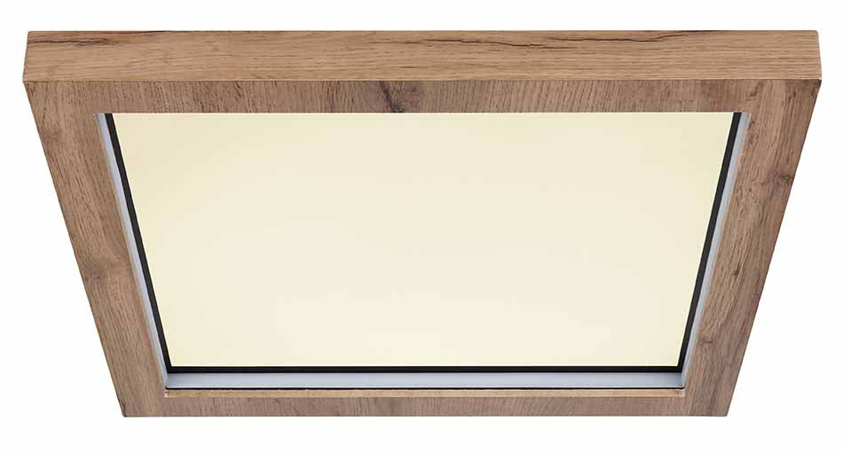 vierkante-zwarte-landelijke-plafondlamp-globo-branza-variant-image1