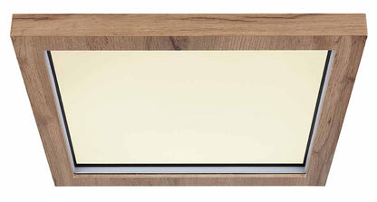 vierkante-zwarte-landelijke-plafondlamp-globo-branza-variant-image1