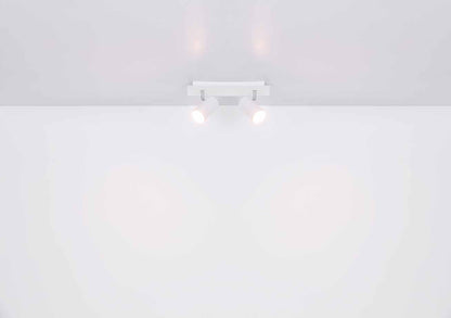 nikkelen-spots-3x2-spots-globo-robby-variant-image3