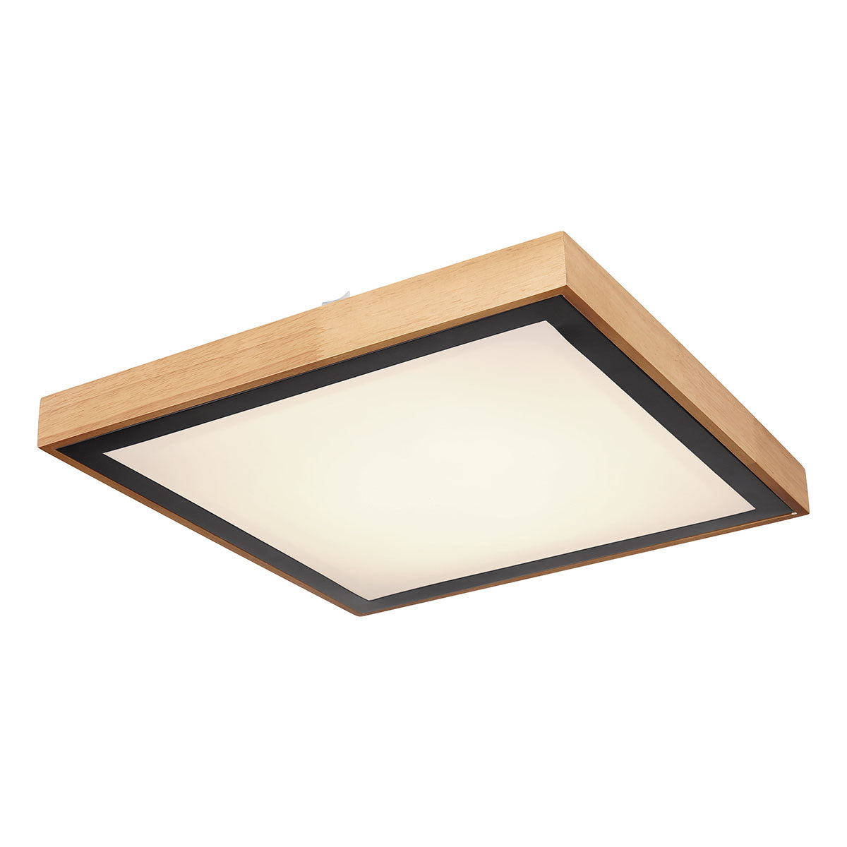 zwarte-vierkante-landelijke-plafondlamp-globo-bruno-main-image