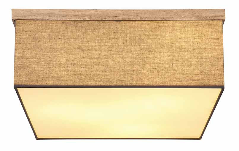 vierkante-zwarte-plafondlamp-landelijk-globo-ossi-variant-image1