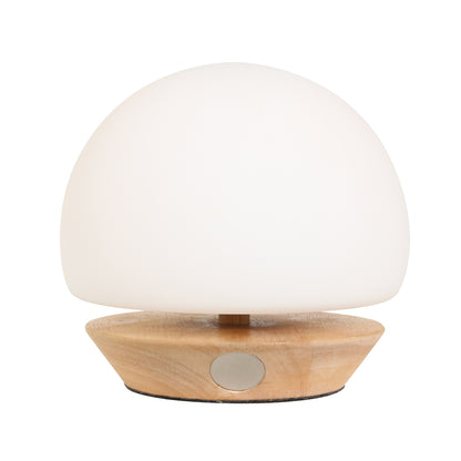 moderne-naturel-houten-tafellamp-glas-steinhauer-ancilla-variant-image5