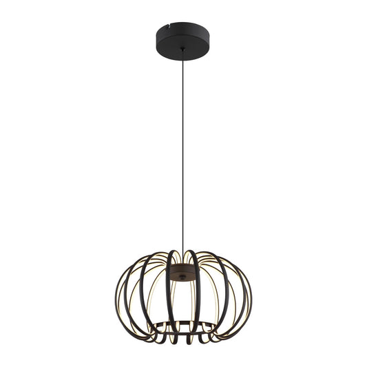 Zwarte metalen hanglamp met bolvormige kooi en gebogen banden