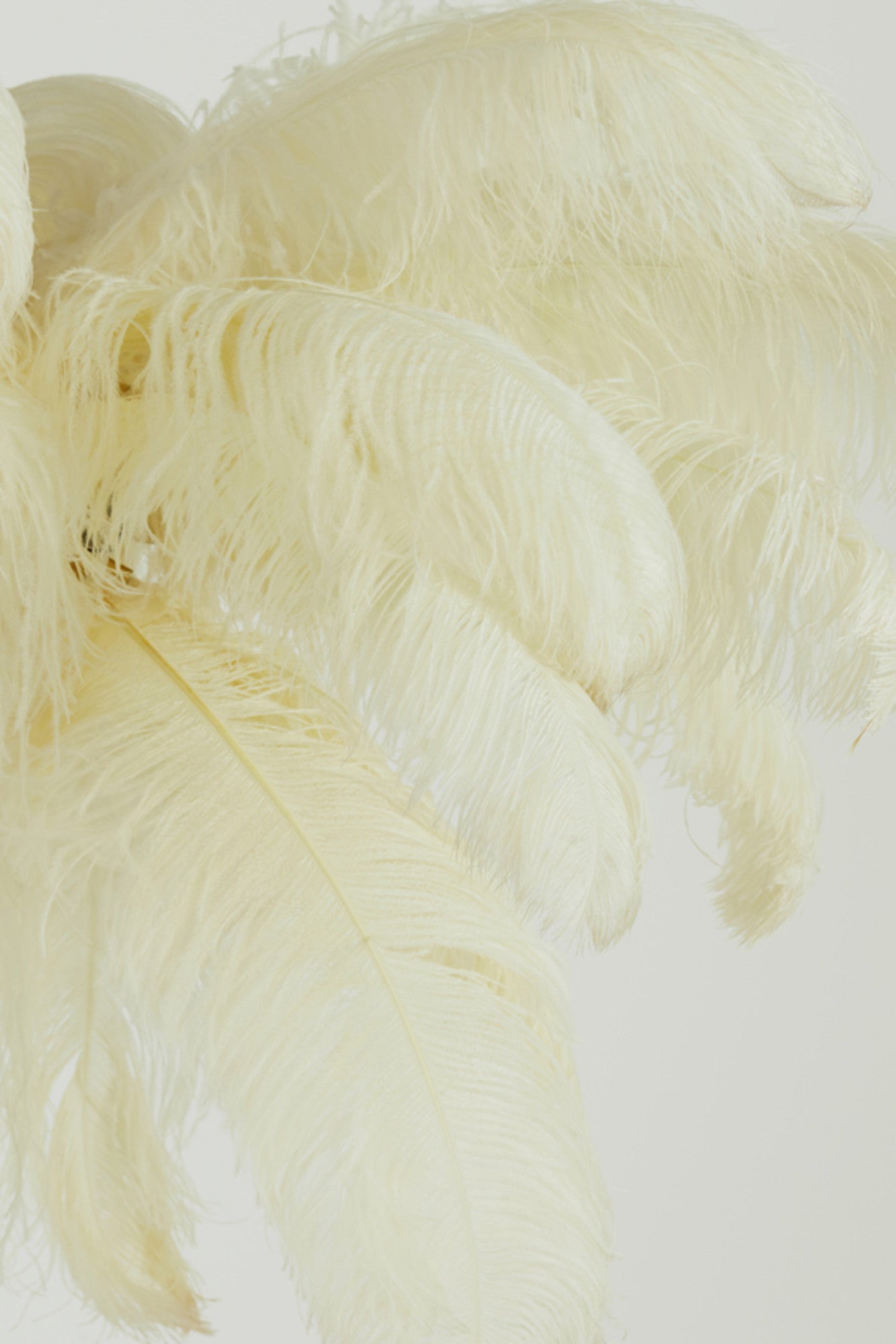klassieke-witte-veren-hanglamp-met-goud-light-living-feather-variant-image8