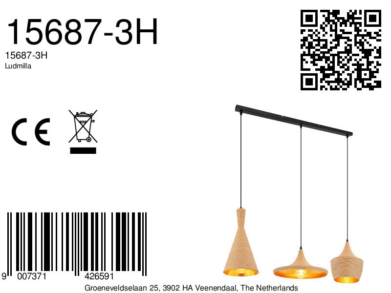 zwart-metalen-hanglamp-boheems-globo-ludmilla-variant-image8a