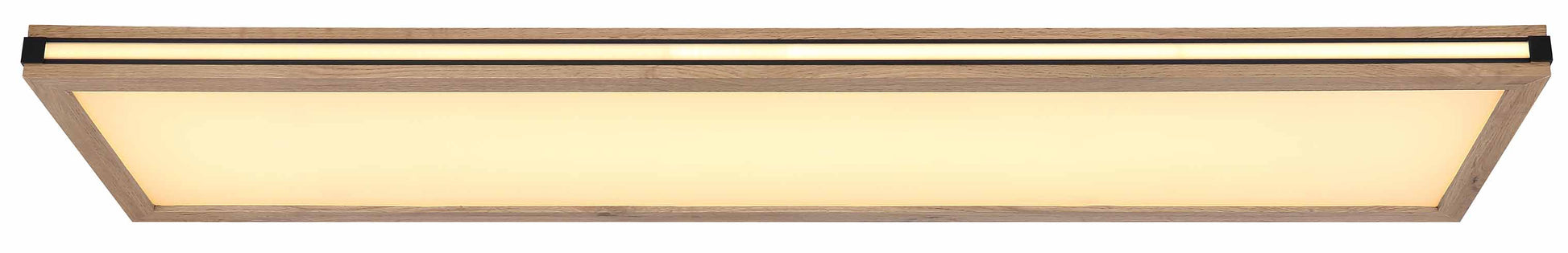 witte-landelijke-metalen-plafondlamp-globo-carla-variant-image1
