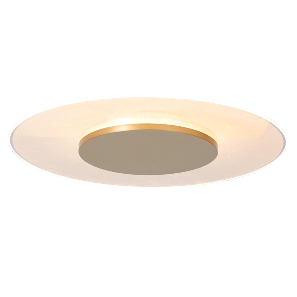 plafondlamp-met-goudkleurige-kern-en-transparante-ring-steinhauer-lido-main-image