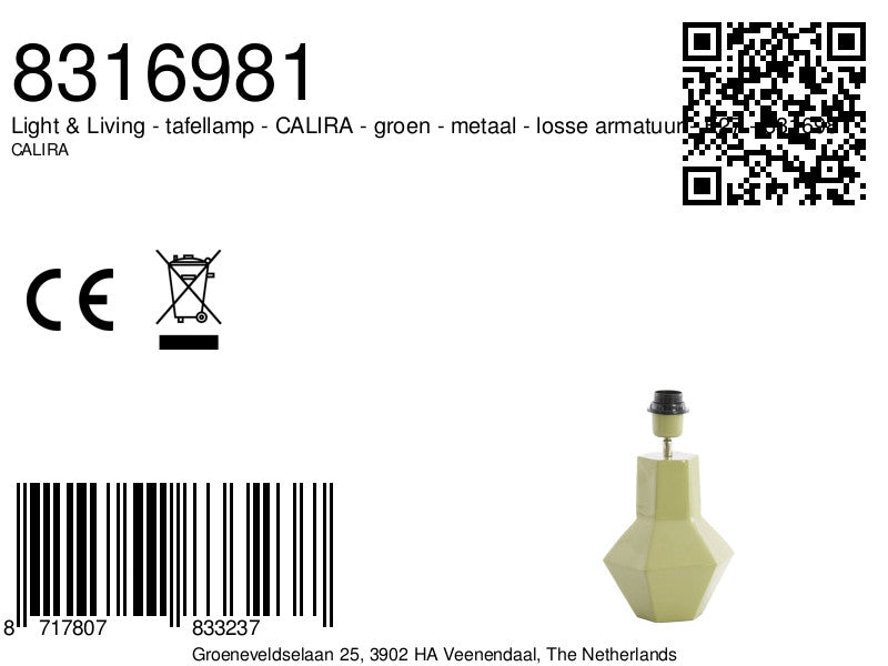 metalen-lampvoet-in-lichtgroene-tint-light-living-calira-variant-image8a