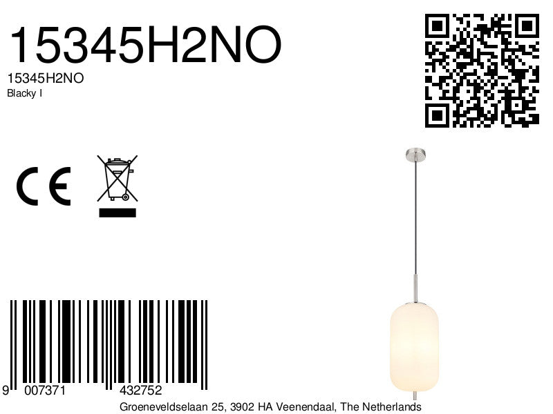 metalen-hanglamp-klassiek-nikkel-globo-blacky-i-variant-image8a