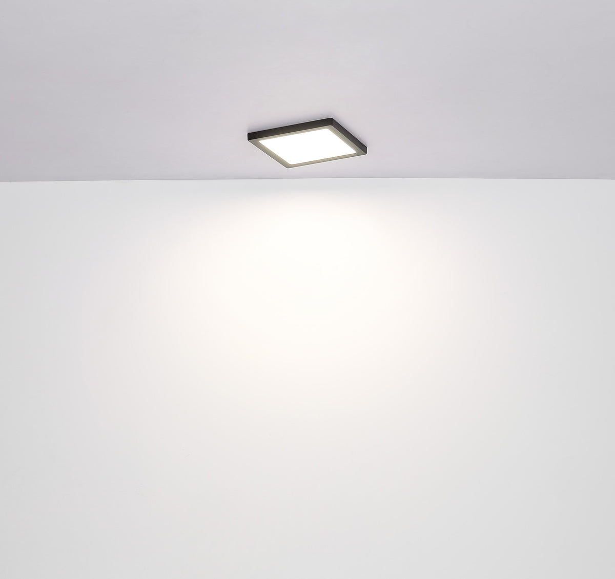Zwarte kunststof plafondlamp met vierkante opalen lichtplaat en zwarte rand – maattekening