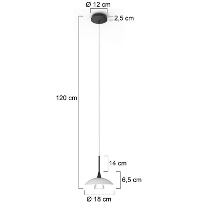 hanglamp-met-glazen-schotel-steinhauer-tallerken-variant-image7