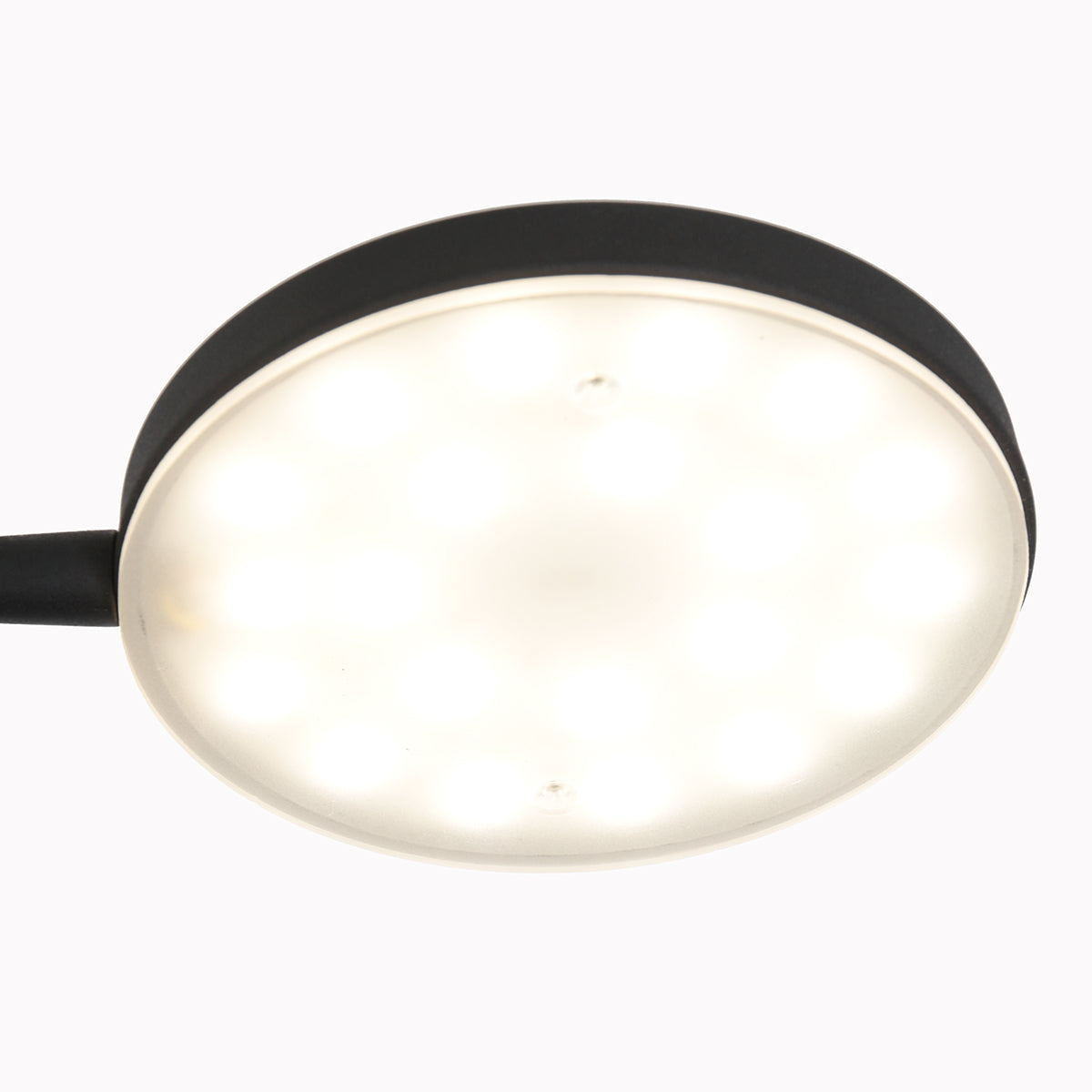 zwarte-verstelbare-ronde-vloerlamp-mexlite-platu-variant-image5