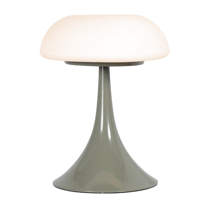 Zelena stolna lampa s mat staklom i dva izvora svjetlosti Steinhauer Ancilla