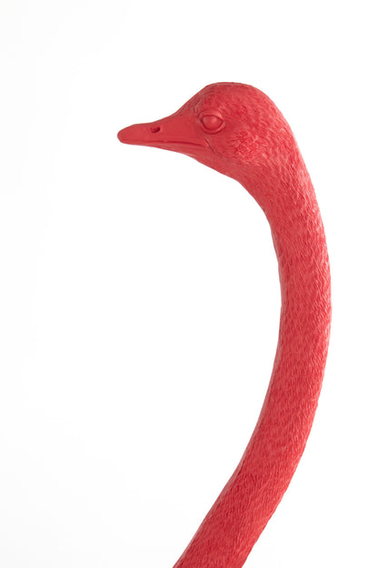 roze-struisvogel-vloerlamp-light-living-ostrich-variant-image8