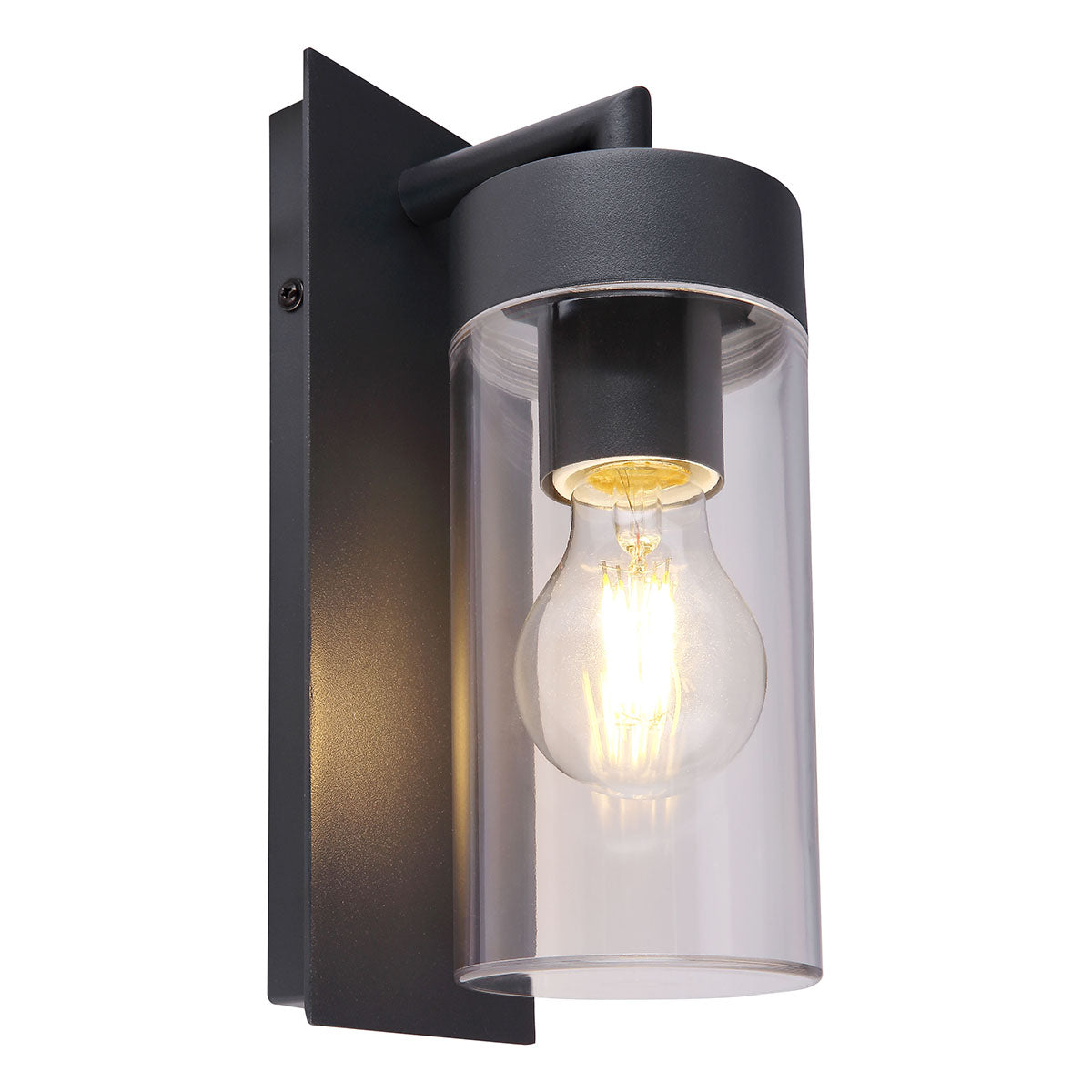 moderne-buitenlamp-antraciet-aluminium-globo-vessa-main-image