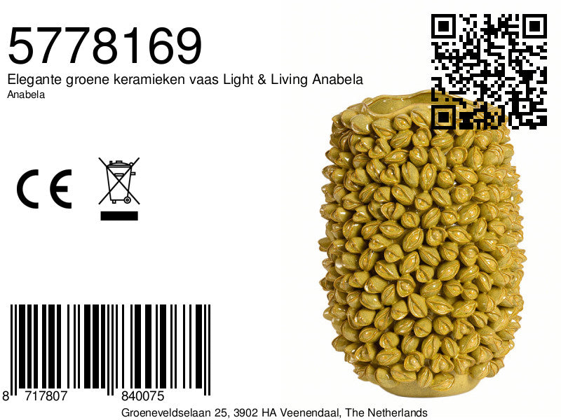 elegante-groene-keramieken-vaas-light-living-anabela-variant-image8a