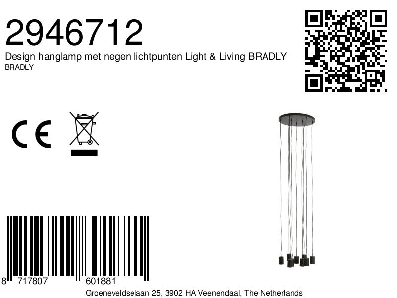 design-hanglamp-met-negen-lichtpunten-light-living-bradly-variant-image8a