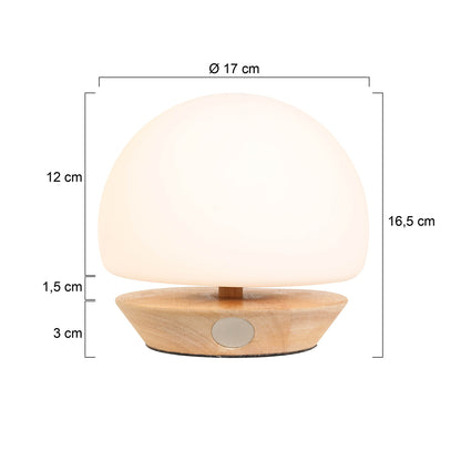 moderne-naturel-houten-tafellamp-glas-steinhauer-ancilla-variant-image7