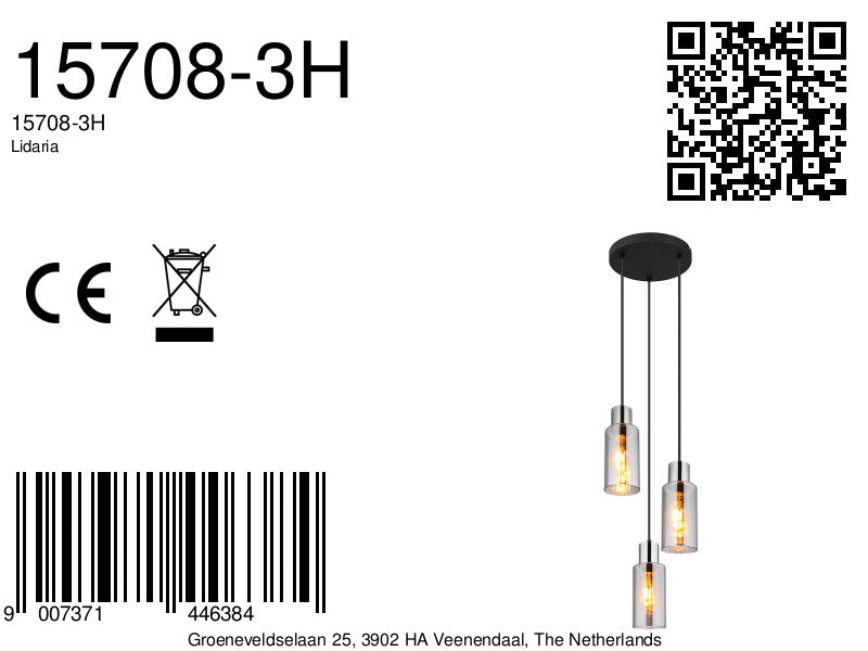 moderne-metalen-hanglamp-zwart-globo-lidaria-variant-image8a