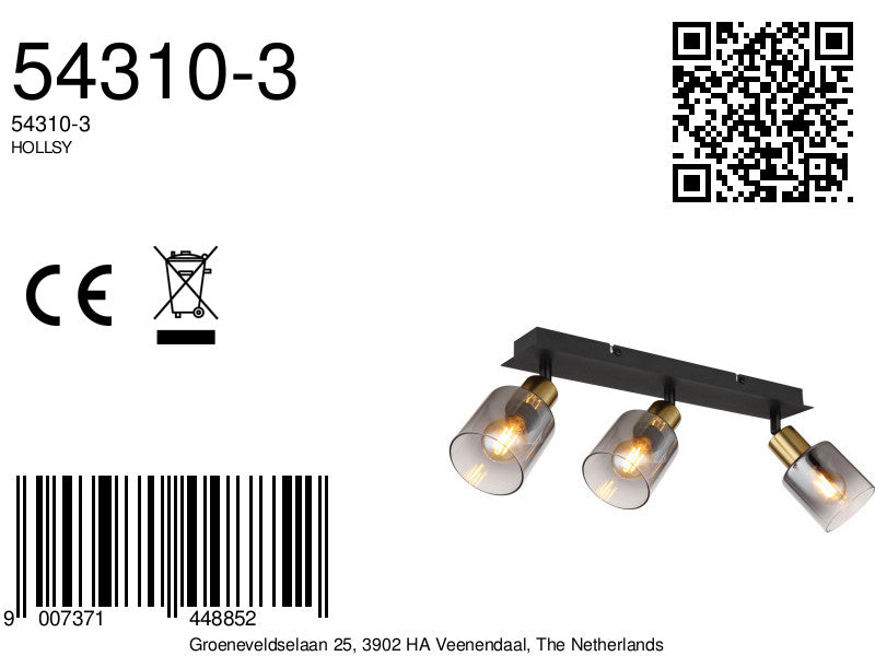 elegante-spotlight-met-rokerig-glas-hollsy-variant-image8a