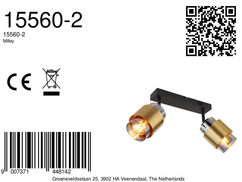 klassieke-zwarte-metalen-spots-globo-milley-variant-image8a