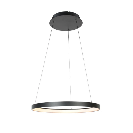 zwarte-ring-hanglamp-met-krachtige-led-steinhauer-ringlede-main-image