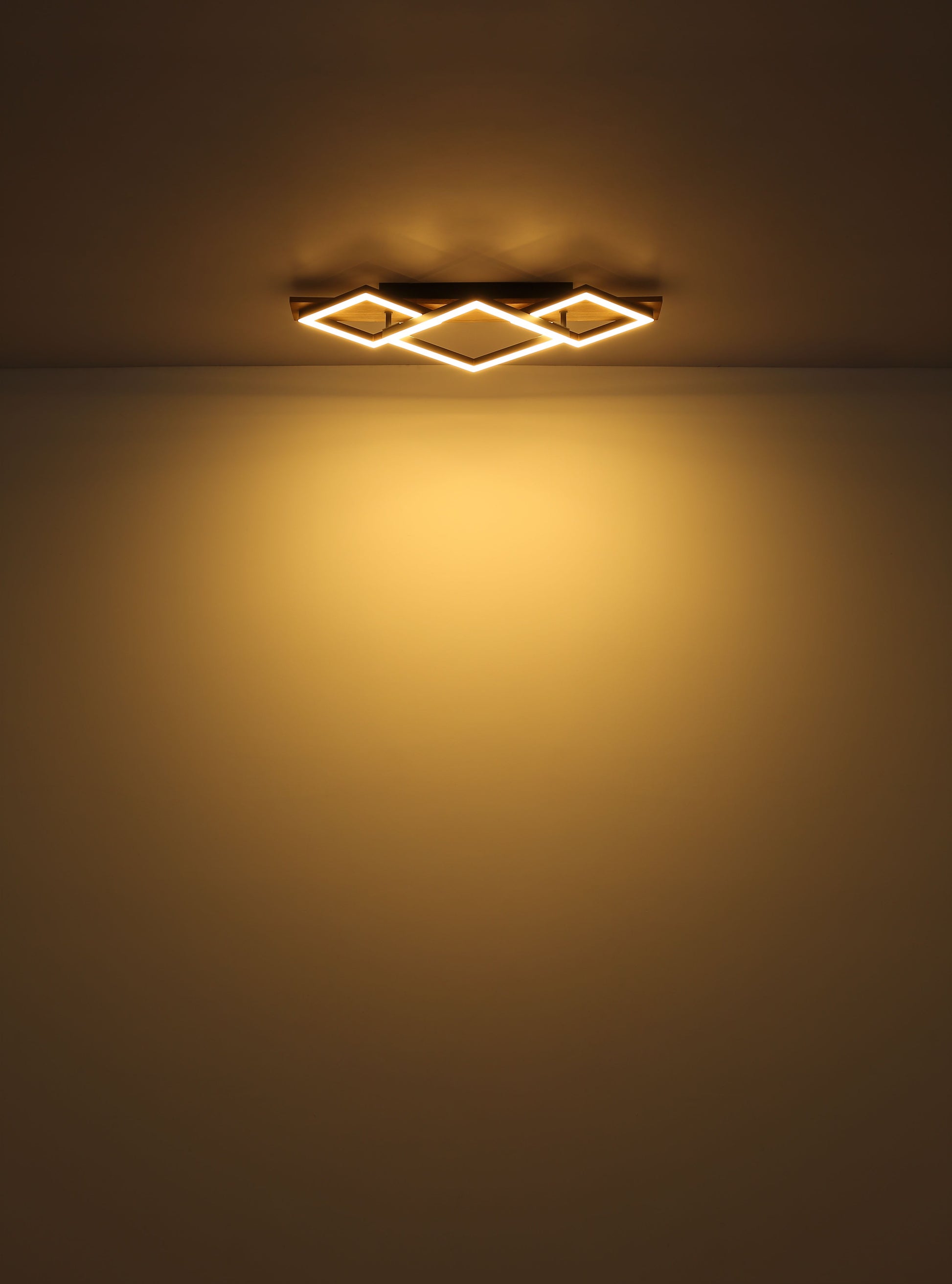 elegante-plafonniere-met-draaibaar-frame-tyler-variant-image5