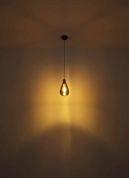 hanglamp-glas-metaal-klassiek-zwart-globo-fanni-variant-image3
