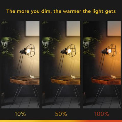 dim-to-warm-led-lichtbron-e27-8-5w-steinhauer-variant-image3