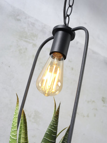 zwarte-hanglamp-plantenpot-its-about-romi-florence-variant-image2