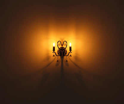 wandlamp-met-gebogen-armen-en-glas-camila-variant-image3
